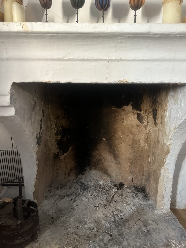 Inspección del interior de una chimenea con cámara endoscópica